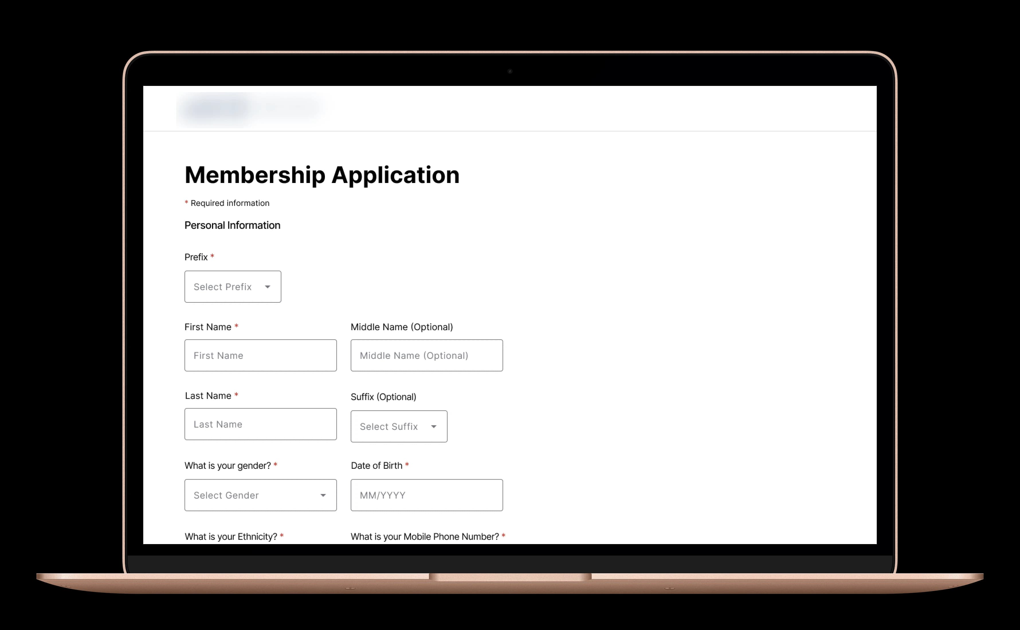 Screenshot of the low fidelity memerbship application, this iteration helped us to do user testing.